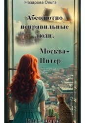 Скачать Абсолютно неправильные люди. Москва – Питер бесплатно