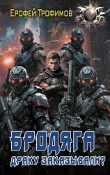 Скачать Бродяга. Драку заказывали? бесплатно