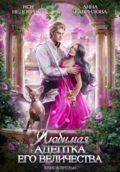 Скачать Любимая адептка его величества. Книга 3 бесплатно