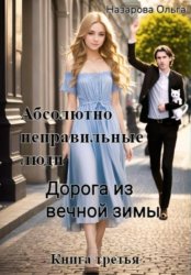 Скачать Абсолютно неправильные люди. Дорога из вечной зимы бесплатно