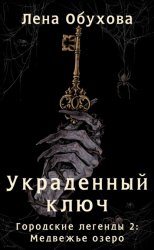 Скачать Украденный ключ бесплатно