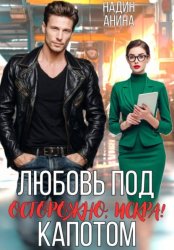 Скачать Любовь под капотом. Осторожно, искра! бесплатно