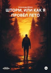 Скачать ШТОРМ, ИЛИ КАК Я ПРОВЁЛ ЛЕТО бесплатно