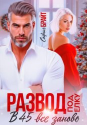 Скачать Развод под ёлку. В 45 все заново бесплатно