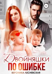 Скачать Двойняшки по ошибке. Случайная встреча бесплатно