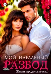 Скачать Мой идеальный развод. Жизнь продолжается… бесплатно