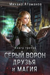 Скачать Серый Ворон. Книга 3. Друзья и магия бесплатно