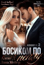 Скачать Босиком по пеплу. Книга 2 бесплатно