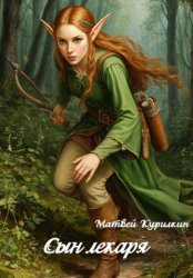 Скачать Сын лекаря бесплатно