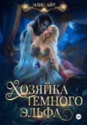 Скачать Хозяйка темного эльфа бесплатно