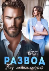 Скачать Развод. Без сожалений бесплатно