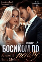 Скачать Босиком по пеплу. Книга 3 бесплатно