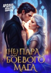 Скачать (Не) пара для боевого мага бесплатно
