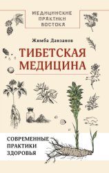 Скачать Тибетская медицина: современные практики здоровья бесплатно