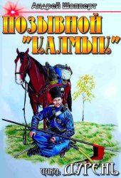 Скачать Дурень. Книга вторая. Позывной «Калмык» бесплатно