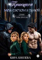 Скачать Принцесса меж светом и тьмой бесплатно