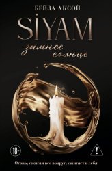 Скачать Зимнее солнце бесплатно