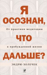 Скачать Я осознан, что дальше? От практики медитации к пробужденной жизни бесплатно