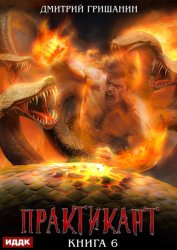 Скачать Практикант. Книга 6 бесплатно