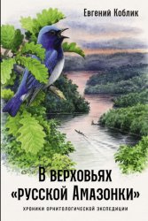 Скачать В верховьях «русской Амазонки»: Хроники орнитологической экспедиции бесплатно