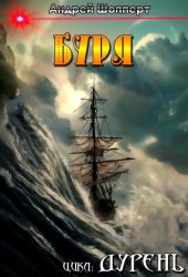 Скачать Дурень. Книга пятая. Буря бесплатно