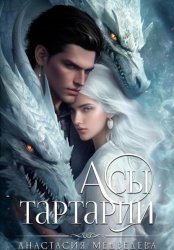 Скачать Академия Совершенствующихся 2. Асы Тартарии бесплатно