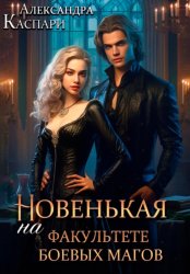 Скачать Новенькая на факультете боевых магов бесплатно