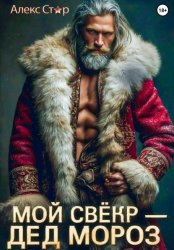 Скачать Мой свёкр – Дед Мороз бесплатно