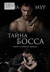 Скачать Тайна Босса бесплатно