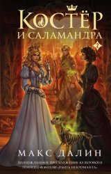 Скачать Костер и Саламандра. Книга 2 бесплатно