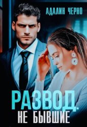 Скачать Развод. Не бывшие бесплатно