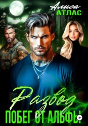 Скачать Развод. Побег от Альфы бесплатно