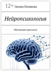 Скачать Нейропсихология. Обучающий практикум бесплатно