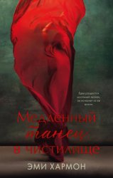 Скачать Медленный танец в чистилище бесплатно