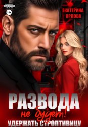 Скачать Развода не будет! Удержать строптивицу бесплатно