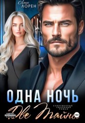 Скачать Одна ночь. Две тайны бесплатно