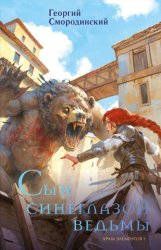 Скачать Сын синеглазой ведьмы бесплатно