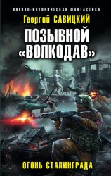 Скачать Позывной «Волкодав». Огонь Сталинграда бесплатно