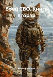 Скачать Боец СВО. Книга вторая бесплатно
