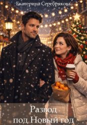 Скачать Развод под Новый год бесплатно
