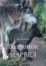 Скачать Волчонок МАРВЕЛ бесплатно