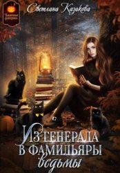 Скачать Из генерала в фамильяры ведьмы бесплатно