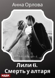 Скачать Лили. Дело 6. Смерть у алтаря бесплатно