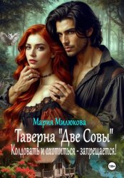 Скачать Таверна «Две Совы». Колдовать и охотиться – запрещается! бесплатно