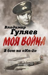 Скачать В бой на «Ил-2». Нас называли «черной смертью» бесплатно