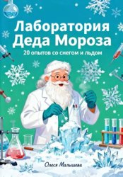 Скачать Лаборатория Деда Мороза. 20 опытов со снегом и льдом бесплатно