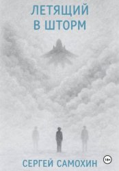 Скачать Летящий в шторм бесплатно