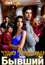 Скачать Бывший или чудеса Нового Года бесплатно