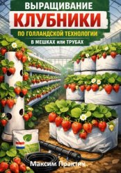 Скачать Выращивание клубники по голландской технологии в мешках или трубах бесплатно