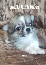 Скачать маЛЮСЕНЬКАя бесплатно